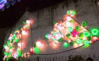 月色江南，醉美周莊 一簾燈影入夢來